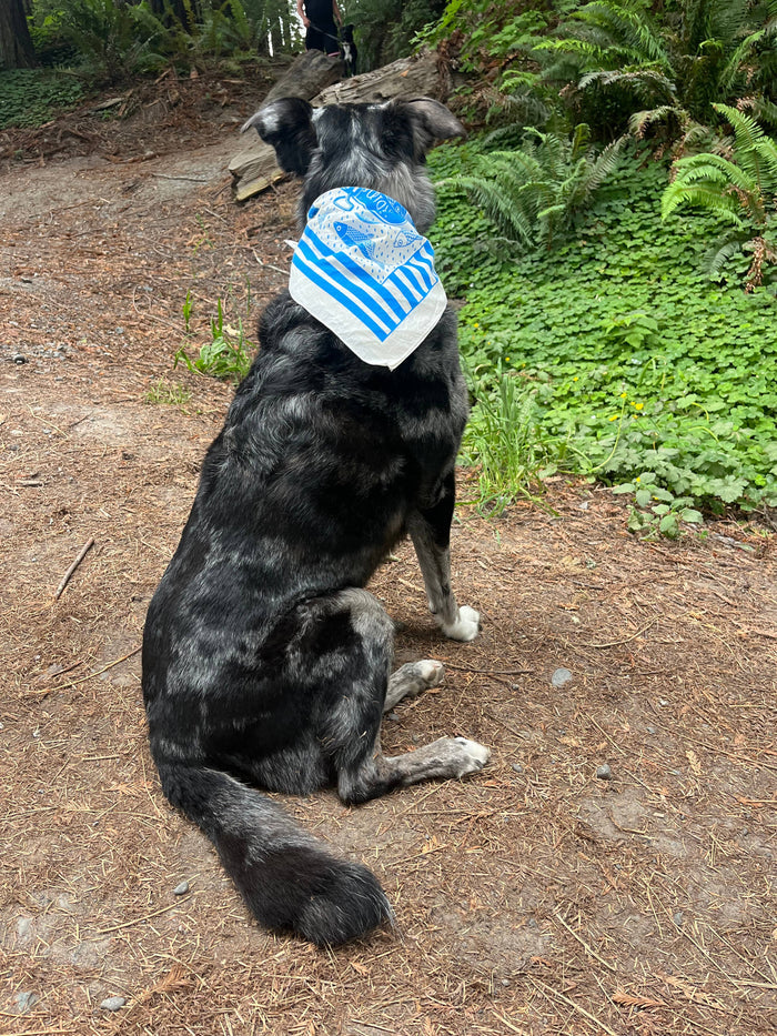Pen+Pine - Summer Picnic Bandana