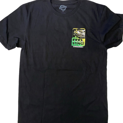 Carowinds Fury 325 Stats Tee