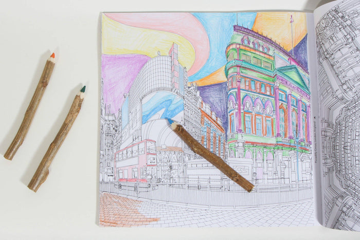 Chronicle Books - Fantastic Cities