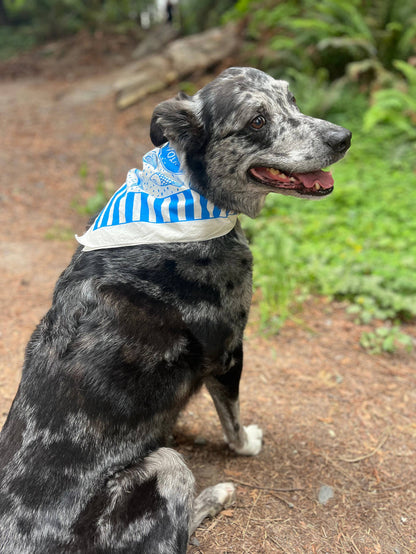 Pen+Pine - Summer Picnic Bandana