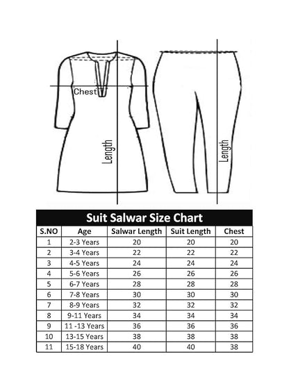 Punjabi Dress for Girls Traditional Folk Dance Costume for Kids