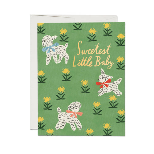Red Cap Cards Greeting Card - Little Lamb