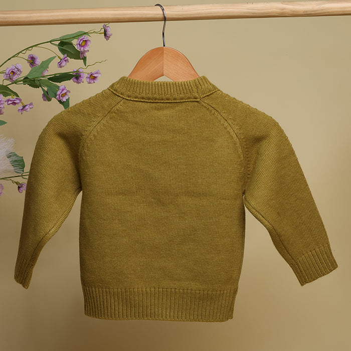 Winter Warm Woollen Full Sleeve Sweater For Baby | Lion | Pack of 1